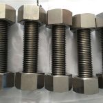 nickel alloy 400 en2.4360 bi tevahî nîgarê bi fêkiyan pêça